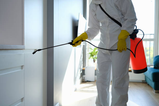 Mold Removal and Inspection in Graniteville, SC